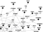 Network analysis of EtOH-related candidate genes.
