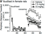 Ibudilast attenuates expression of behavioral sensitization to cocaine in male and female rats.