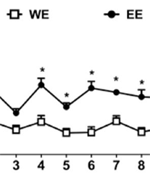 Adolescent but not adult ethanol binge drinking modulates ethanol behavioral effects in mice later in life