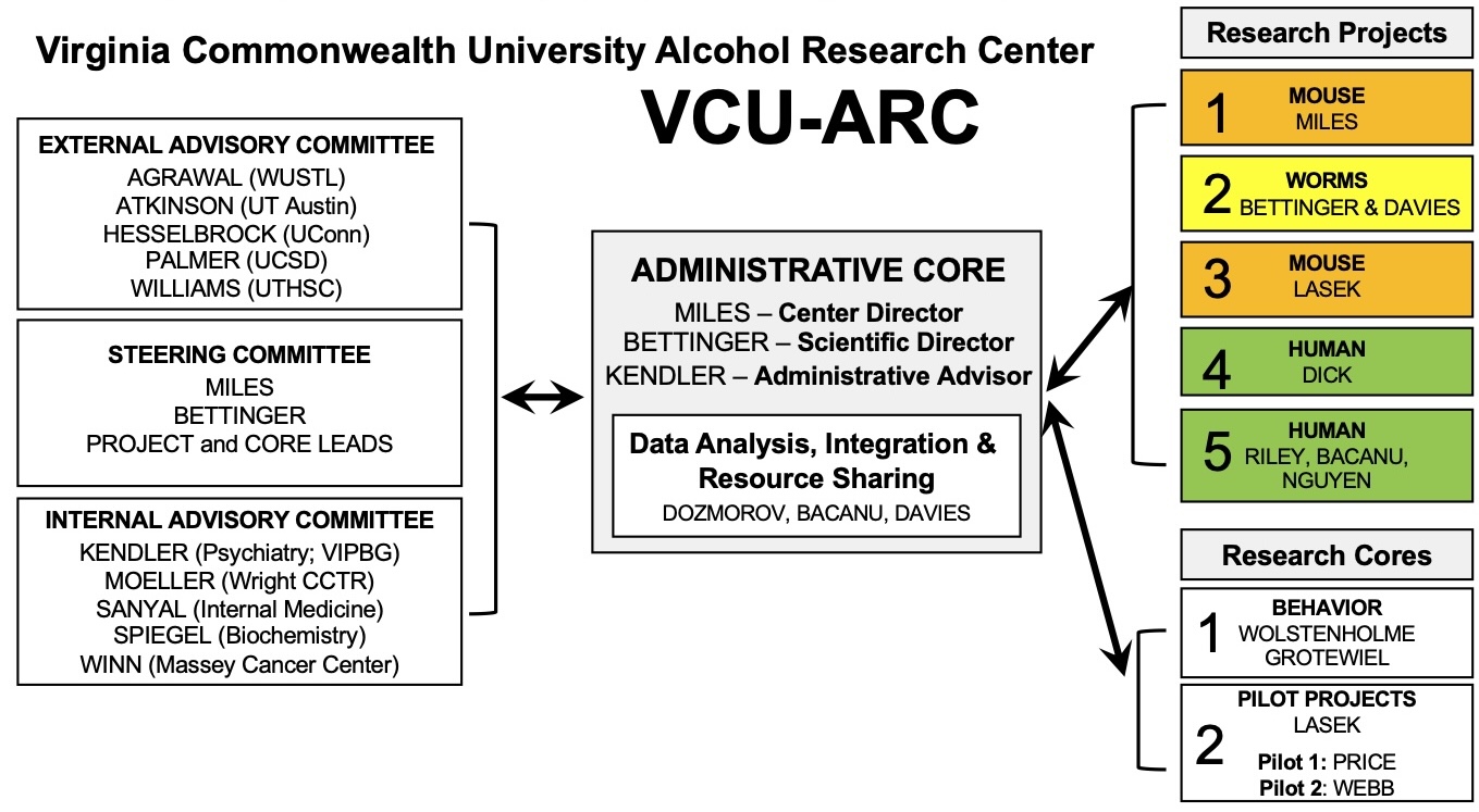 Structure of the VCU Alcohol Research Center